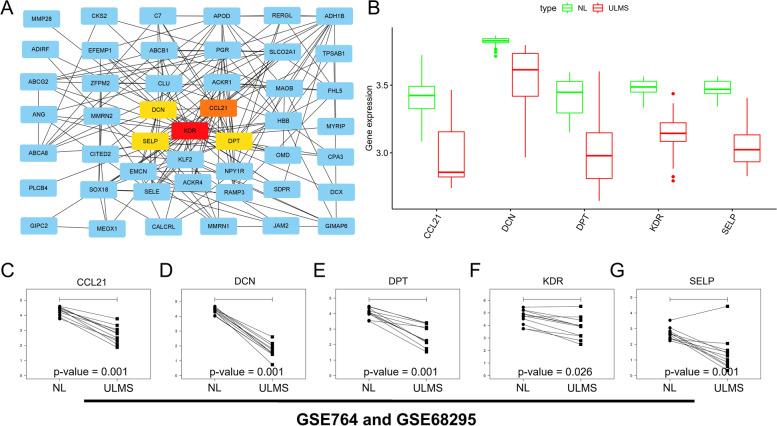 https://cdn.ncbi.nlm.nih.gov/pmc/blobs/a51f/8320213/93b2be78549c/12957_2021_2333_Fig6_HTML.jpg