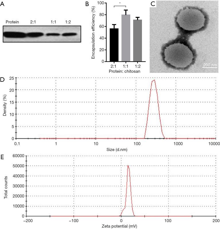 https://cdn.ncbi.nlm.nih.gov/pmc/blobs/a523/8798429/0f7e9332cb14/tcr-08-06-2230-f2.jpg