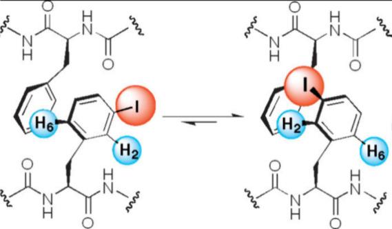 https://cdn.ncbi.nlm.nih.gov/pmc/blobs/a525/12183581/b6ba6e97afb3/bg4c00148_0005.jpg