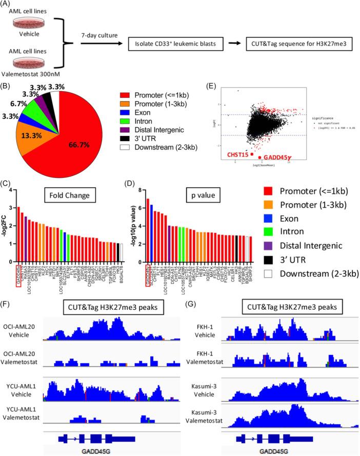 https://cdn.ncbi.nlm.nih.gov/pmc/blobs/a526/12255905/8765da641e23/HEM3-9-e70149-g005.jpg
