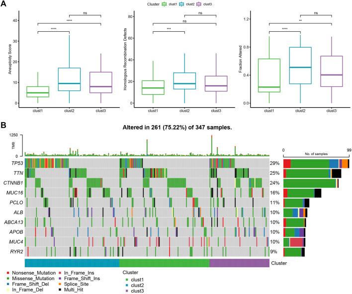 https://cdn.ncbi.nlm.nih.gov/pmc/blobs/a526/9521278/3ed82a65fddf/fgene-13-1000652-g003.jpg
