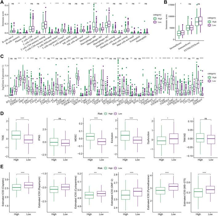 https://cdn.ncbi.nlm.nih.gov/pmc/blobs/a526/9521278/889cb229d0d0/fgene-13-1000652-g008.jpg