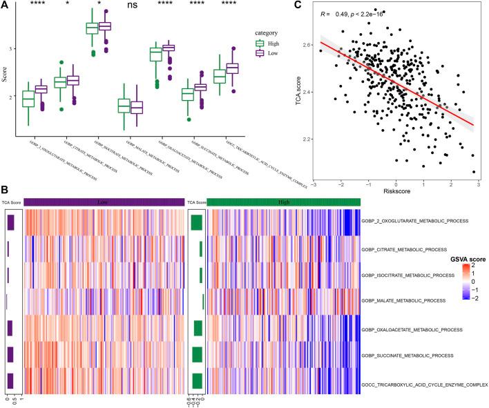 https://cdn.ncbi.nlm.nih.gov/pmc/blobs/a526/9521278/9b7ab2d21b13/fgene-13-1000652-g009.jpg