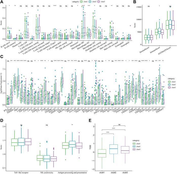 https://cdn.ncbi.nlm.nih.gov/pmc/blobs/a526/9521278/c2872e30088c/fgene-13-1000652-g005.jpg