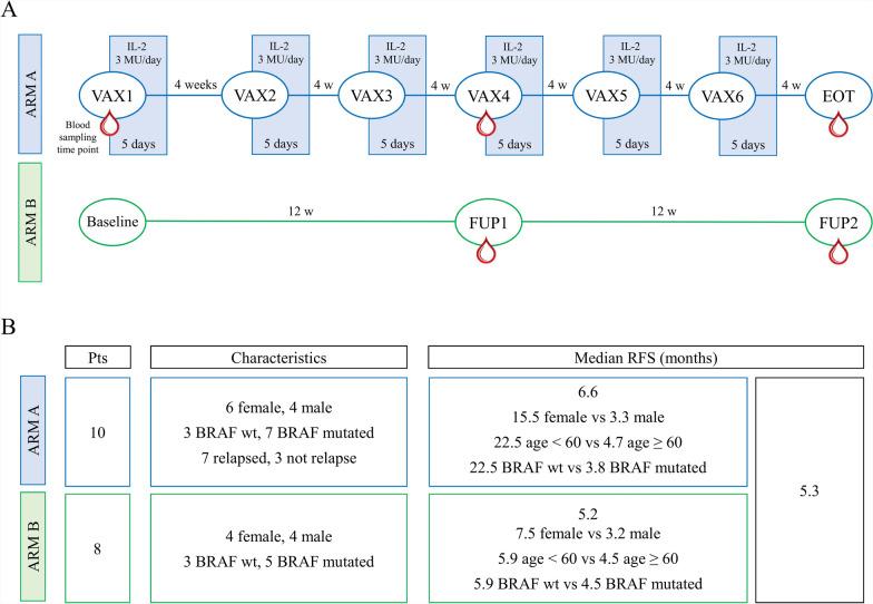 https://cdn.ncbi.nlm.nih.gov/pmc/blobs/a527/12007200/ae4e3843e847/12967_2025_6403_Fig1_HTML.jpg