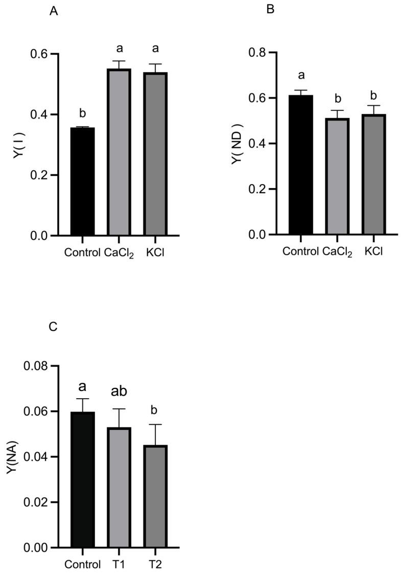 https://cdn.ncbi.nlm.nih.gov/pmc/blobs/a528/11988456/0f35449766db/ijms-26-02922-g005.jpg