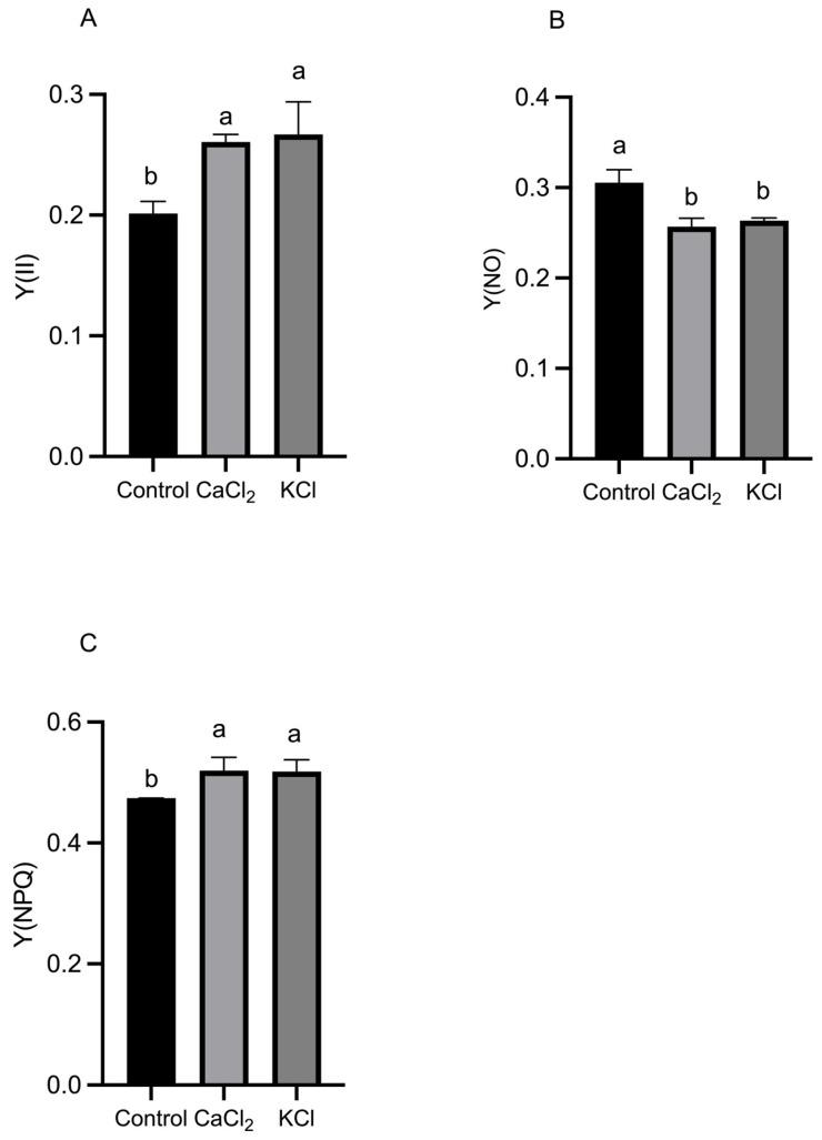 https://cdn.ncbi.nlm.nih.gov/pmc/blobs/a528/11988456/96c99dd990ad/ijms-26-02922-g004.jpg