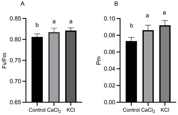 https://cdn.ncbi.nlm.nih.gov/pmc/blobs/a528/11988456/b93c4874bc1f/ijms-26-02922-g003.jpg