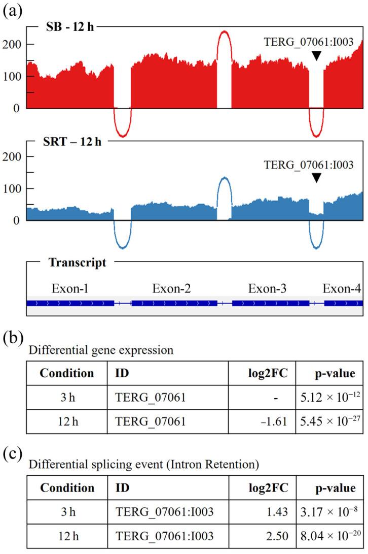 https://cdn.ncbi.nlm.nih.gov/pmc/blobs/a529/11855152/49f30aeffeee/genes-16-00146-g003.jpg