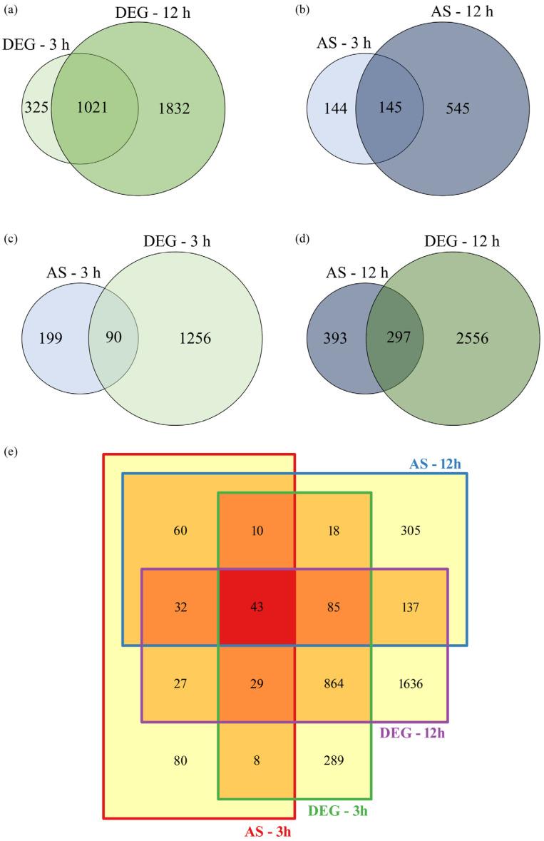 https://cdn.ncbi.nlm.nih.gov/pmc/blobs/a529/11855152/534ae33cf3c2/genes-16-00146-g001.jpg
