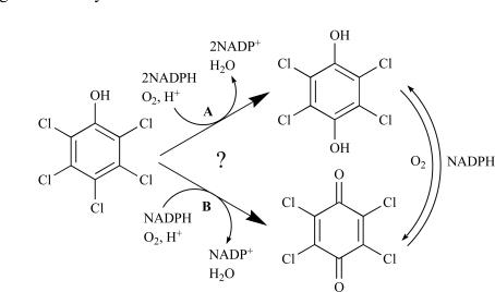 https://cdn.ncbi.nlm.nih.gov/pmc/blobs/a529/2593034/2b2b25db715f/TOMICROJ-2-100_F1.jpg