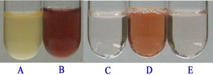 https://cdn.ncbi.nlm.nih.gov/pmc/blobs/a529/2593034/9fe8c067e5ca/TOMICROJ-2-100_F7.jpg