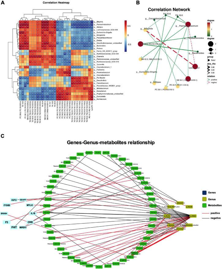 https://cdn.ncbi.nlm.nih.gov/pmc/blobs/a52a/8860327/65c6580fc0b9/fphys-13-813626-g007.jpg