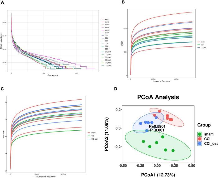 https://cdn.ncbi.nlm.nih.gov/pmc/blobs/a52a/8860327/a456546354ab/fphys-13-813626-g002.jpg