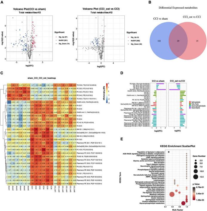 https://cdn.ncbi.nlm.nih.gov/pmc/blobs/a52a/8860327/c4c5e747efdd/fphys-13-813626-g006.jpg