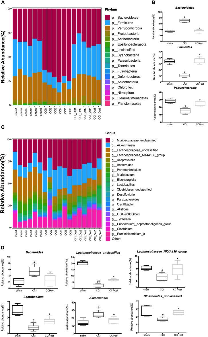 https://cdn.ncbi.nlm.nih.gov/pmc/blobs/a52a/8860327/e458783fa0c2/fphys-13-813626-g003.jpg