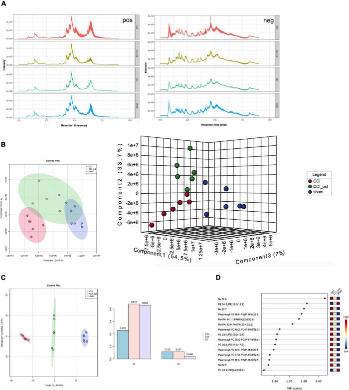 https://cdn.ncbi.nlm.nih.gov/pmc/blobs/a52a/8860327/f59863a82dd7/fphys-13-813626-g005.jpg
