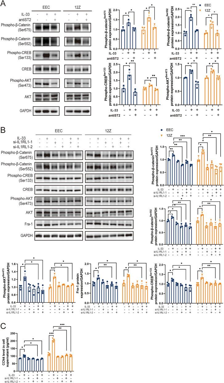 https://cdn.ncbi.nlm.nih.gov/pmc/blobs/a52b/11163813/1bf29e122335/12964_2024_1683_Fig4_HTML.jpg