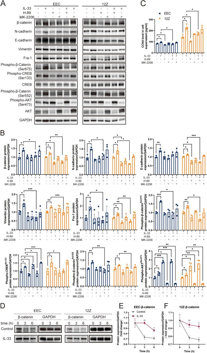 https://cdn.ncbi.nlm.nih.gov/pmc/blobs/a52b/11163813/68aad3aecef7/12964_2024_1683_Fig5_HTML.jpg