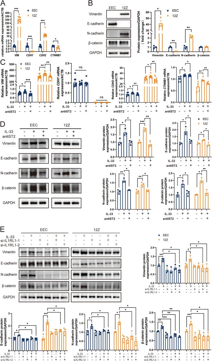 https://cdn.ncbi.nlm.nih.gov/pmc/blobs/a52b/11163813/95f06cc1467f/12964_2024_1683_Fig2_HTML.jpg