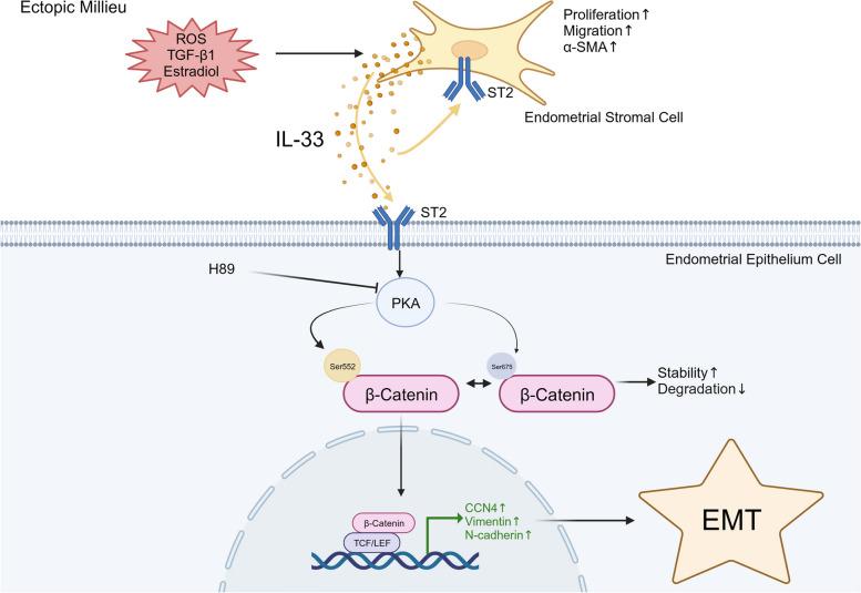 https://cdn.ncbi.nlm.nih.gov/pmc/blobs/a52b/11163813/9754384cff3e/12964_2024_1683_Fig8_HTML.jpg