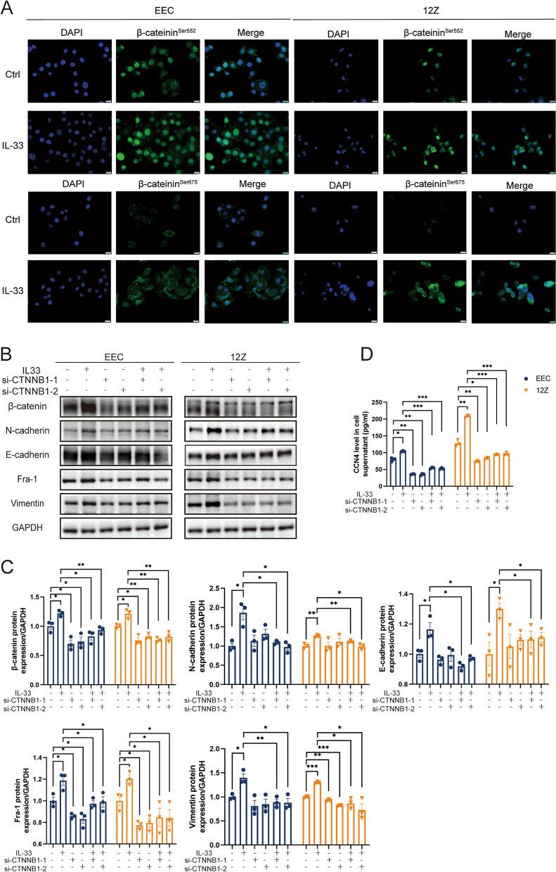 https://cdn.ncbi.nlm.nih.gov/pmc/blobs/a52b/11163813/f5b39997ae1d/12964_2024_1683_Fig6_HTML.jpg