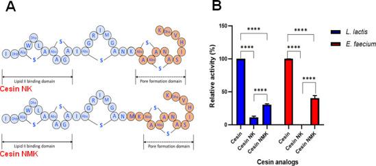 https://cdn.ncbi.nlm.nih.gov/pmc/blobs/a52f/10581189/bd7d5b3bb05a/spectrum.05319-22.f005.jpg
