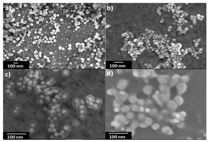 https://cdn.ncbi.nlm.nih.gov/pmc/blobs/a52f/7918618/7a7f543a3a24/nanomaterials-11-00487-g005.jpg