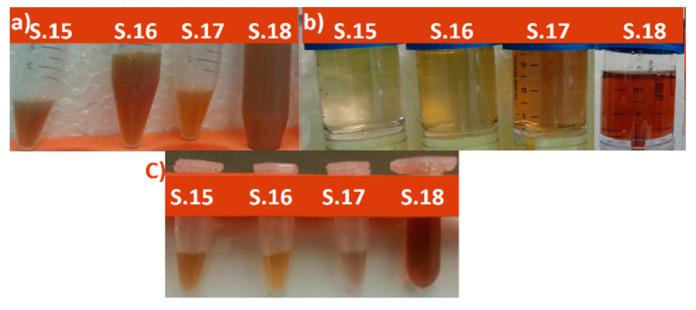 https://cdn.ncbi.nlm.nih.gov/pmc/blobs/a52f/7918618/7ca21c126f2b/nanomaterials-11-00487-g001.jpg