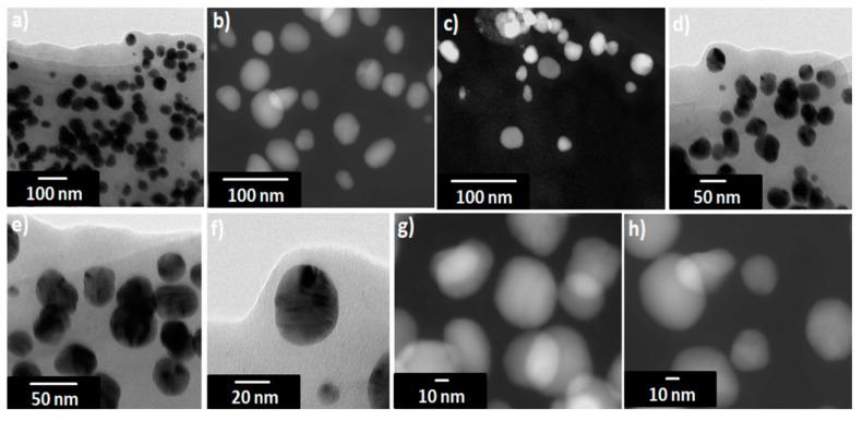 https://cdn.ncbi.nlm.nih.gov/pmc/blobs/a52f/7918618/ab4f0cf8428c/nanomaterials-11-00487-g006.jpg