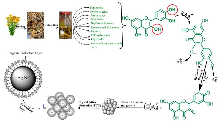 https://cdn.ncbi.nlm.nih.gov/pmc/blobs/a52f/7918618/c4625d2a5d1f/nanomaterials-11-00487-g013.jpg