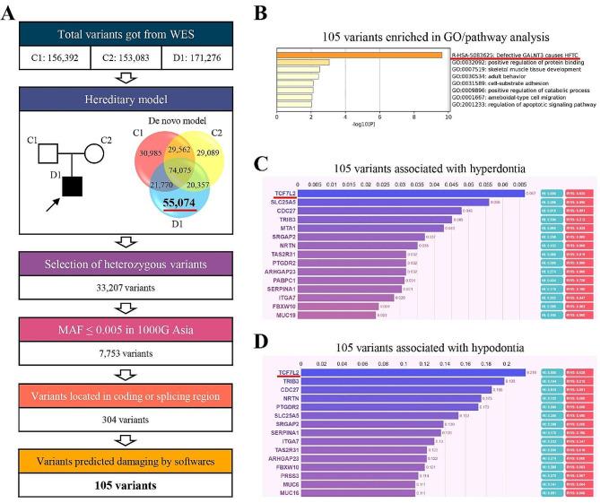 https://cdn.ncbi.nlm.nih.gov/pmc/blobs/a530/11246580/1b35b4fcaf9b/12903_2024_4573_Fig4_HTML.jpg