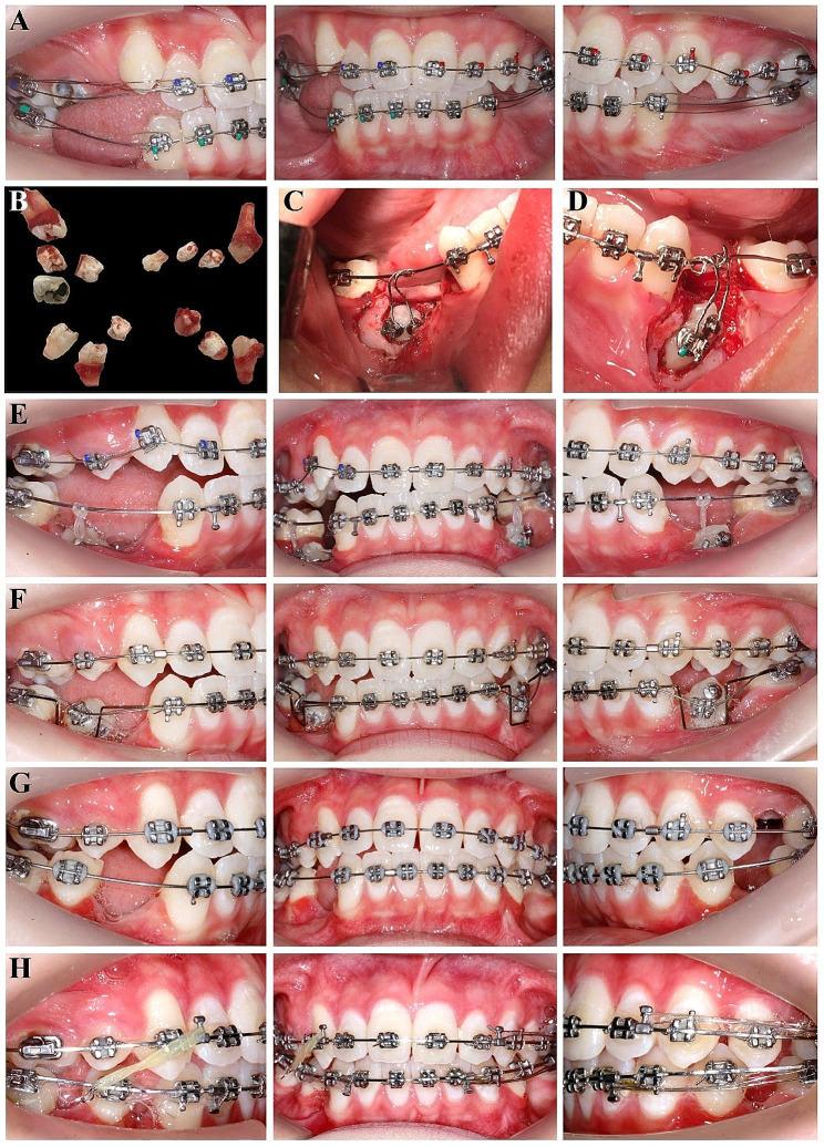 https://cdn.ncbi.nlm.nih.gov/pmc/blobs/a530/11246580/c34c1068300b/12903_2024_4573_Fig2_HTML.jpg