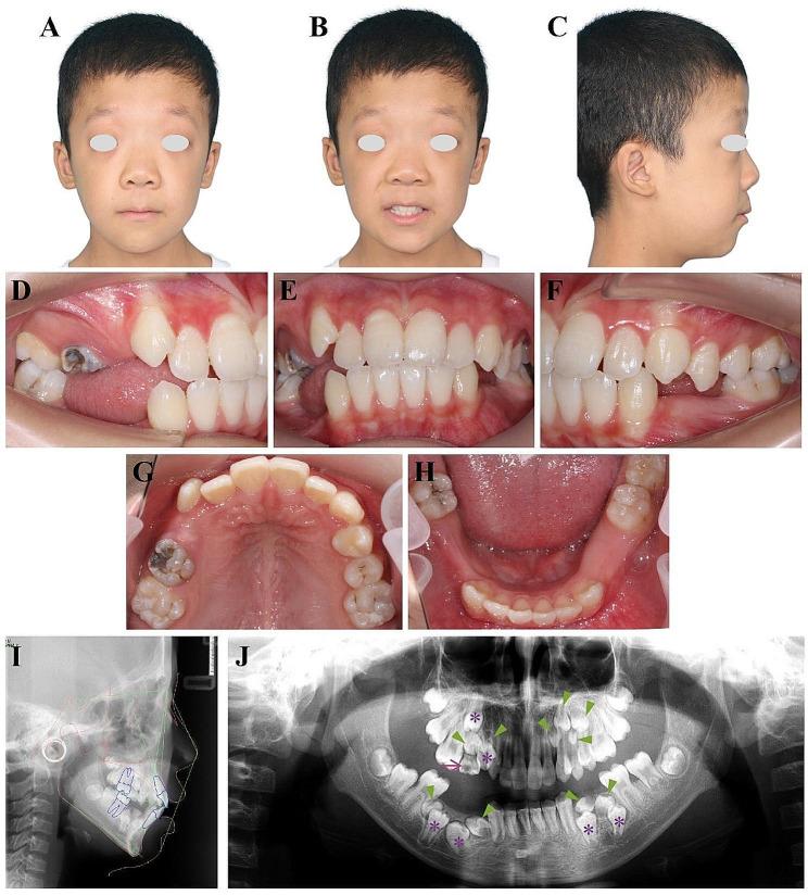 https://cdn.ncbi.nlm.nih.gov/pmc/blobs/a530/11246580/e4fa1e85ab1b/12903_2024_4573_Fig1_HTML.jpg