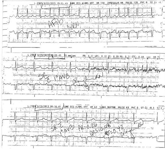 https://cdn.ncbi.nlm.nih.gov/pmc/blobs/a530/5359800/f0b9fea9bf2a/40409_2017_108_Fig2_HTML.jpg