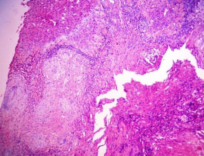 https://cdn.ncbi.nlm.nih.gov/pmc/blobs/a532/5604103/38d1c9675d2b/ijp-11-427-g001.jpg
