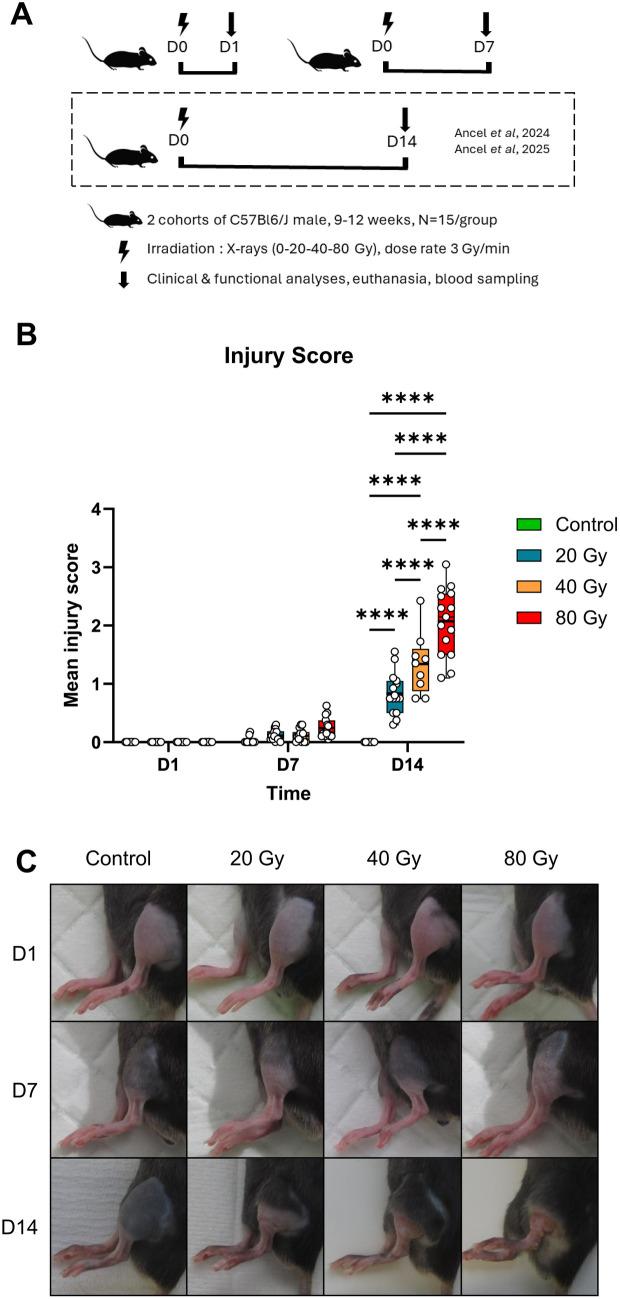 https://cdn.ncbi.nlm.nih.gov/pmc/blobs/a533/12333984/f78d38480c1e/pone.0329737.g001.jpg