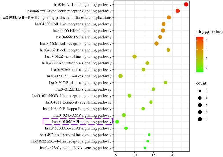 https://cdn.ncbi.nlm.nih.gov/pmc/blobs/a535/11154206/9b8cf0632d5c/gr6.jpg