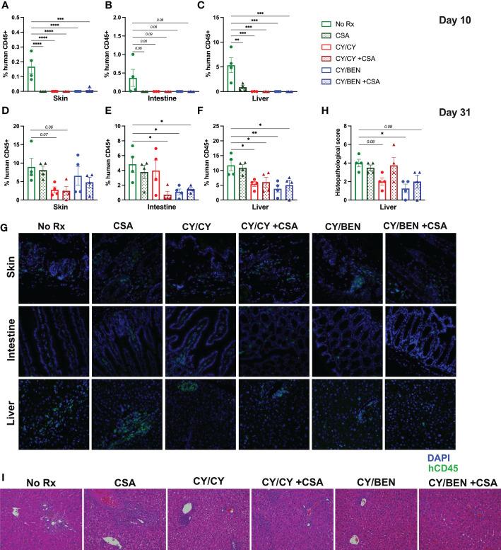 https://cdn.ncbi.nlm.nih.gov/pmc/blobs/a535/9868157/11e03f3af9f2/fimmu-13-1045710-g005.jpg