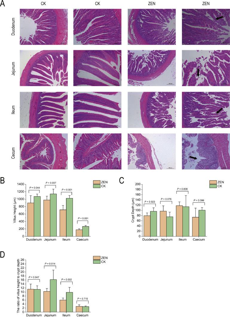https://cdn.ncbi.nlm.nih.gov/pmc/blobs/a536/11406091/5aa9f30663dc/gr2.jpg