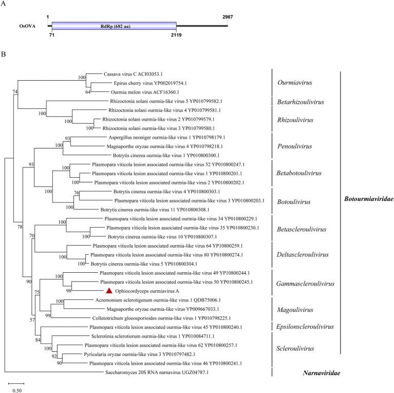 https://cdn.ncbi.nlm.nih.gov/pmc/blobs/a536/11625762/6f7b2c086bcb/fmicb-15-1493365-g003.jpg