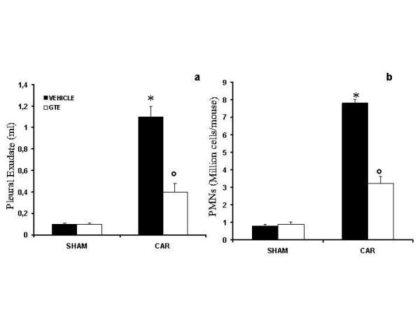 https://cdn.ncbi.nlm.nih.gov/pmc/blobs/a539/1177993/e365d260ac7b/1465-9921-6-66-2.jpg