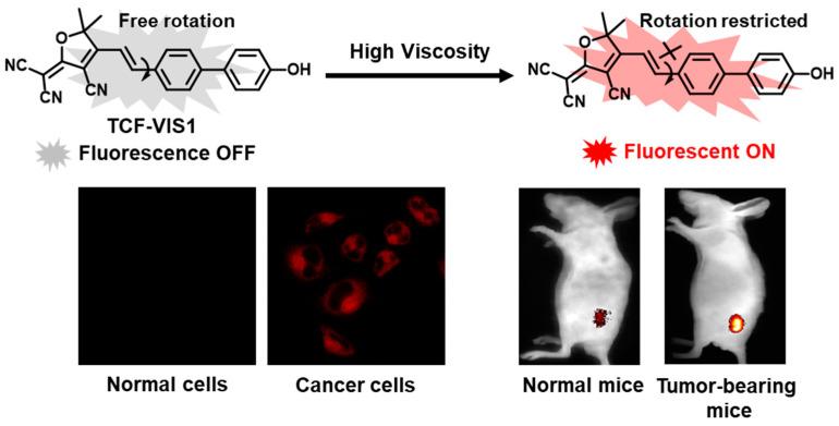 https://cdn.ncbi.nlm.nih.gov/pmc/blobs/a53b/11085742/ac68a9ce241a/molecules-29-01993-sch001.jpg