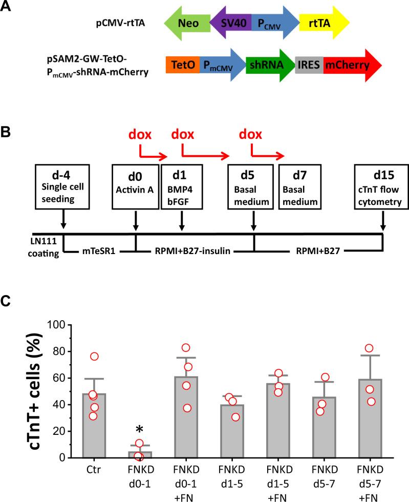 https://cdn.ncbi.nlm.nih.gov/pmc/blobs/a53b/9236614/0b6832636bb8/elife-69028-fig4.jpg