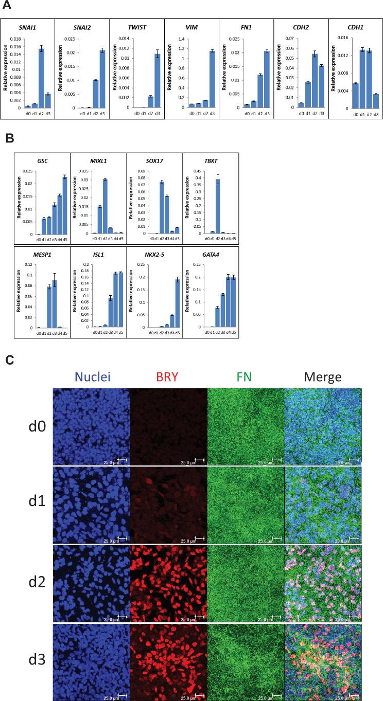 https://cdn.ncbi.nlm.nih.gov/pmc/blobs/a53b/9236614/ab15086b0b36/elife-69028-fig3.jpg