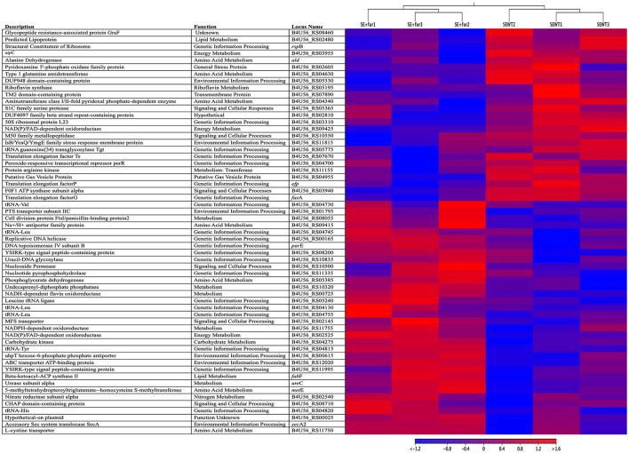 https://cdn.ncbi.nlm.nih.gov/pmc/blobs/a53c/10324375/9b6bb3dd3c44/fmicb-14-1208241-g0004.jpg