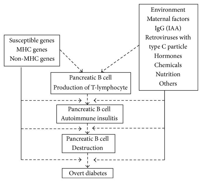 https://cdn.ncbi.nlm.nih.gov/pmc/blobs/a53c/4391527/eaf4e2bbc7f8/BMRI2015-382165.001.jpg