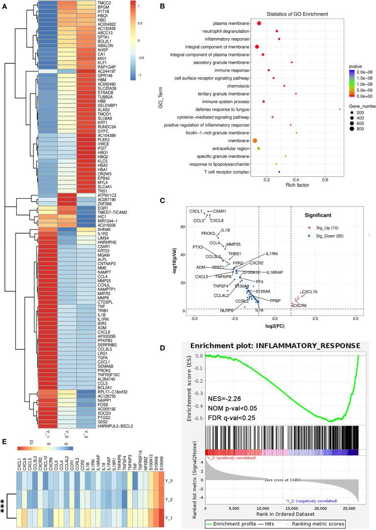 https://cdn.ncbi.nlm.nih.gov/pmc/blobs/a53c/8863860/c3b950b72574/fimmu-13-825796-g003.jpg
