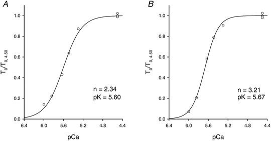 https://cdn.ncbi.nlm.nih.gov/pmc/blobs/a53e/9304278/03bc48e24245/TJP-600-1555-g002.jpg
