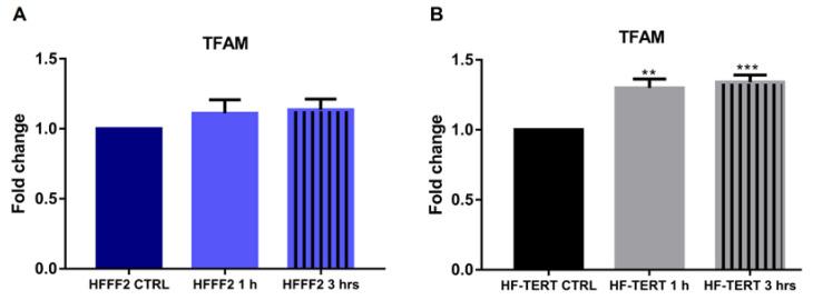 https://cdn.ncbi.nlm.nih.gov/pmc/blobs/a540/10002448/928967ec989d/ijms-24-04450-g009.jpg